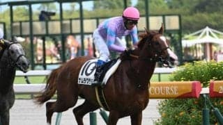 阪神は1年ぶりの開催で馬場コンディション絶好 チューリップ賞は内枠好位勢が軸に無難