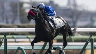 【中山7R】ストレイトトーカーが逃げ切って2勝目