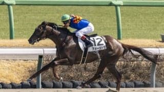 【中山6R】アメージングが逃げ切って2勝目