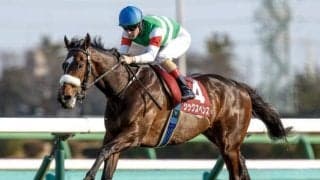 【中山記念・馬体重】シックスペンスは512kg(+10)、ソウルラッシュは508kg(-9)