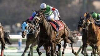 【中山記念】シックスペンスがゴール前強襲！…ルメール騎手の鮮やかな手綱さばき