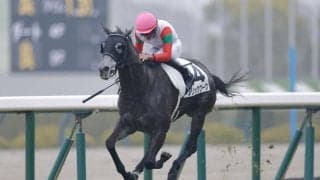 辻野泰之調教師 JRA通算100勝達成