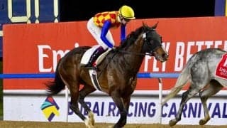 【ドバイ・ブルジュナハール】マーフィー「厳しい展開に…」テーオーサンドニは14着