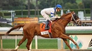 【米サンタアニタHC】ロックドが8馬身半差圧勝