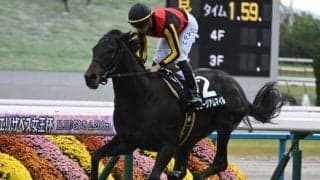 弥生賞、フィリーズレビューなど3重賞/今週の競馬界の見どころ