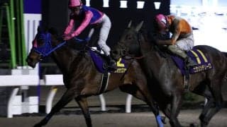 【高知・御厨人窟賞】ニクソンテソーロ/メイショウウズマサが同着…ヘルシャフトは9着