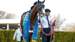 【オーシャンS】売上は49億2440万6300円で昨年より約11億円増加