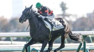 【中山牝馬S見どころ】前走の鬱憤を晴らすクリスマスパレード
