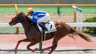 【フィリーズレビュー見どころ】距離短縮で巻き返すリリーフィールド