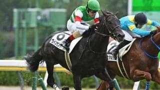 【弥生賞見どころ】接戦に強いヴィンセンシオの3連勝に期待