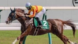 ミトノオーが先月27日に抹消 23年兵庫CS、24年平安Sの覇者