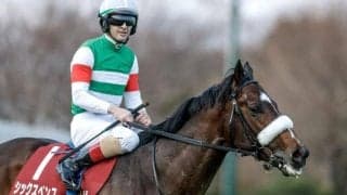 【中山記念】売上は90億8395万4000円で昨年より約2.8億円増加