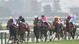 【チューリップ賞】売上は54億1347万4700円で昨年より約8億円増加