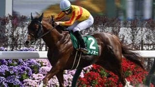 【先週のJRA抹消馬】重賞2勝馬ミトノオー、砂の快速馬ダノンセシボンなど