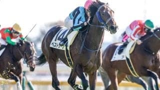 【AI予想・弥生賞】前走の着順や人気は要チェック！ ポテンシャルの高さを感じさせる人工知能の本命候補とは