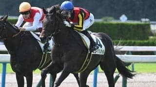 【弥生賞想定騎手】ミュージアムマイルは幸英明騎手、ナグルファルは川田将雅騎手