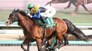 【オーシャンS】G1馬ママコチャが抜け出す