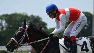 【フィリーズレビュー展望】ショウナンザナドゥの巻き返しを期待