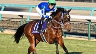 モズアスコット産駒の初重賞Vへ 師走の中山で激走見せた初年度産駒が弥生賞に参戦