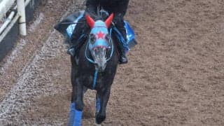 ビッグシーザーなど、先週の入厩情報/栗東トレセンニュース