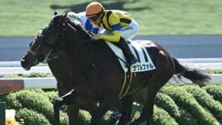 【弥生賞予想オッズ】ナグルファルが予想1番人気