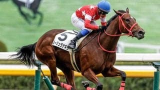 10年ぶり無敗戴冠へ 鋭い末脚見せたつわぶき賞覇者がフィリーズレビューに参戦