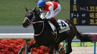 【フィリーズレビュー予想オッズ】ショウナンザナドゥが予想1番人気