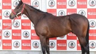 ホープフルS当時とは見違えるほど馬体充実 セレクト3.2億円の良血馬が弥生賞制覇へ