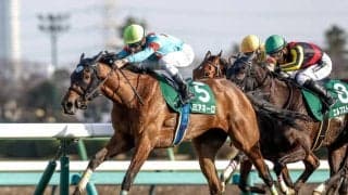 【中山牝馬S展望】好走条件揃うミアネーロが巻き返す