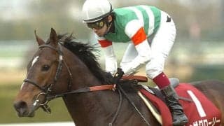 阪神で行われた11年中山牝馬S 福永騎手が1日2重賞勝利で3連単は約250万円に