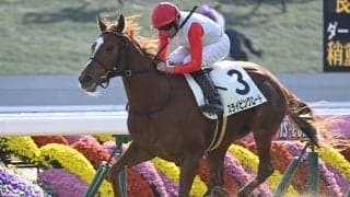 母の主戦務めた福永師が娘もタイトルに導くか フィリーズレビューで母仔重賞制覇狙う