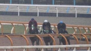 ゲルチュタール、ゆきやなぎ賞1週前追い切り速報/栗東トレセンニュース