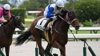 昨年の最多勝ルーキー フィリーズレビューでJRA重賞初制覇なるか