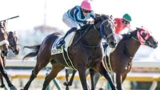 【弥生賞予想】今年も波乱の決着に警戒？ AIが推奨した超人気薄とは