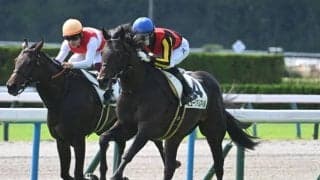 【弥生賞展望】実績上位で好走条件も満たすミュージアムマイルが不動の中心