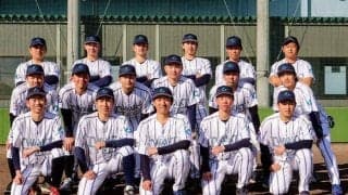 「受け皿がない」…野球選手の競技生活と仕事　離島発の社会人チーム誕生の裏側