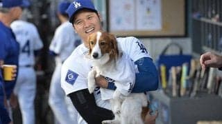 「本当の勝者はデコピン」　大谷＆ド軍監督の“イタズラ合戦”で米感心「独り占めできた」