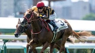 モズアスコット産駒のJRA重賞初制覇なるか フィリーズレビューに2頭が参戦へ