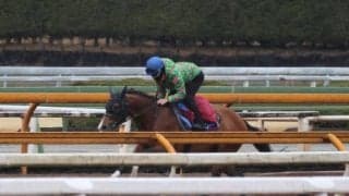 プログノーシス＆クイーンズウォーク、金鯱賞1週前追い切り速報/栗東トレセンニュース