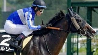 【総武S】前走7馬身差勝利を決めたレイデオロ産駒の大物候補 3連勝でオープン初Vなるか