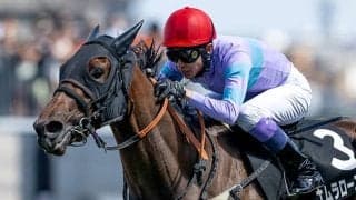 3戦3勝の武豊騎手と再タッグ 昨夏北海道で3連勝の実力馬がオープン入りへ