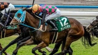 重賞ウイナーの戴冠となれば11年ぶり フィリーズレビューに2頭の重賞勝ち馬が参戦