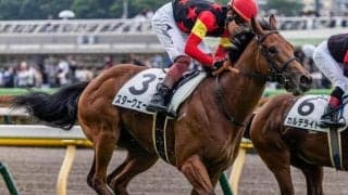 3億円の良血キングマン産駒 自己条件で確勝期す