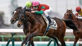 弥生賞に挑む「2代目」マイネルゼウス 初代が届かなかった重賞Vなるか