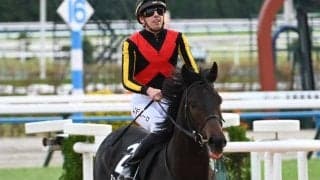 【弥生賞枠順確定】ミュージアムマイルは7枠11番、ナグルファルは2枠2番