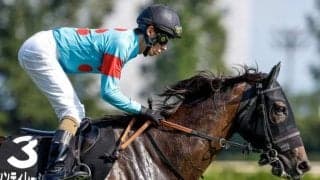 【中山牝馬S枠順確定】シンティレーションは7枠12番、クリスマスパレードは4枠6番