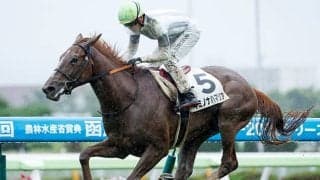 土曜中山は微妙な空模様 中山牝馬Sで期待したい“道悪複勝率80％”の一頭とは