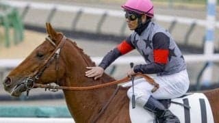 天気下り坂の気配 弥生賞で血統から導かれる道悪適性に期待の狙い馬とは