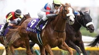 昨年のヴィクトリアMを単勝208.6倍で勝利 テンハッピーローズが抹消・繁殖入り