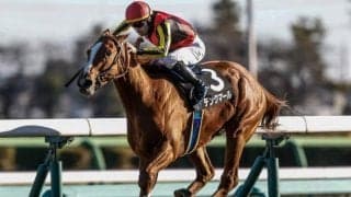 【スプリングS想定馬・騎手】デンクマール、マテンロウバローズなど12頭